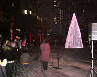 �C�^���A�X�����p�t�H�[�}���X