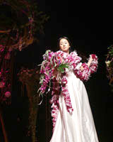 �\�E���f�����X�g���[�V�����p�t�H�[�}���X