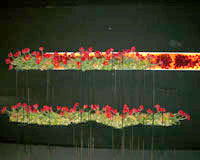 �V���O�z�W