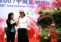 ���������p�t�H�[�}���X